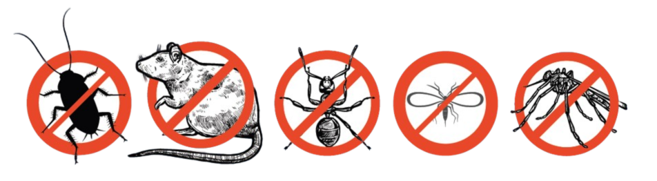 https://gruponascente.com.br/wp-content/uploads/2025/05/3f447fee-b09d-4d38-b0bd-ab9fabd4cb8d.png.png