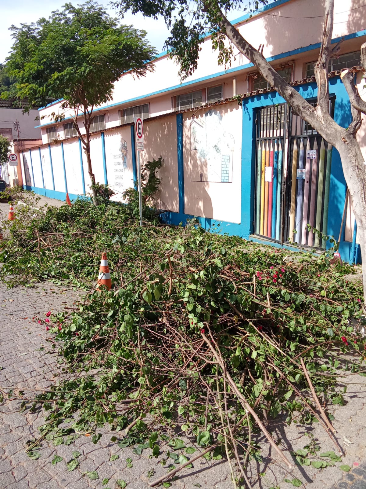 4896f961-b291-4fe8-9f50-1ec935de4fe2