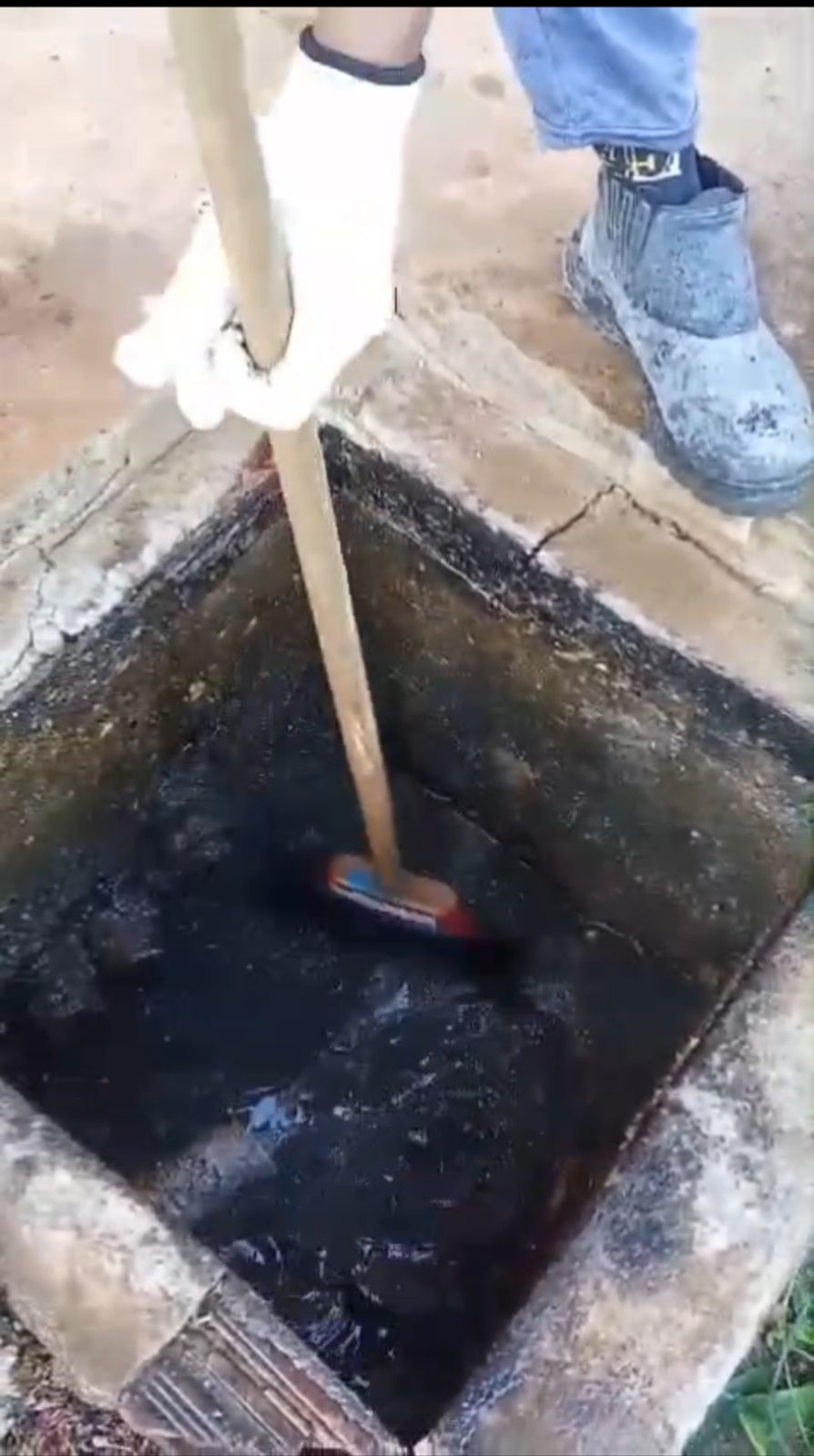 9f4211e7-b3f0-44bd-9836-a5e5b0ec97e1