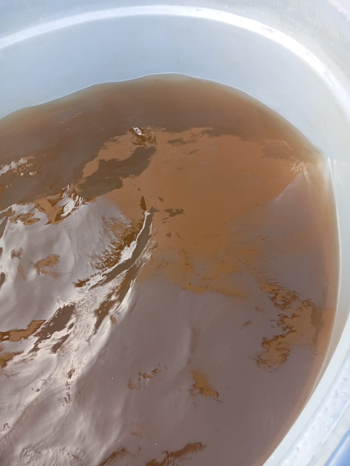 Imagem do WhatsApp de 2025-10-23 à(s) 14.57.02_79e6ec4a