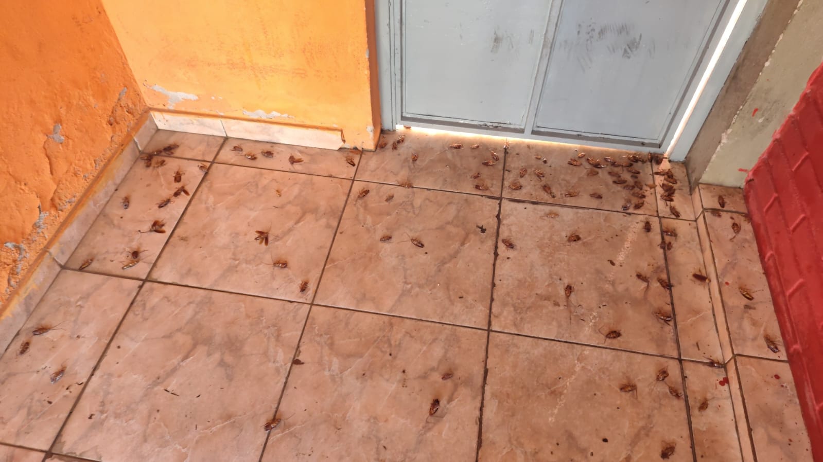 Imagem do WhatsApp de 2025-10-23 à(s) 15.11.46_bb808657