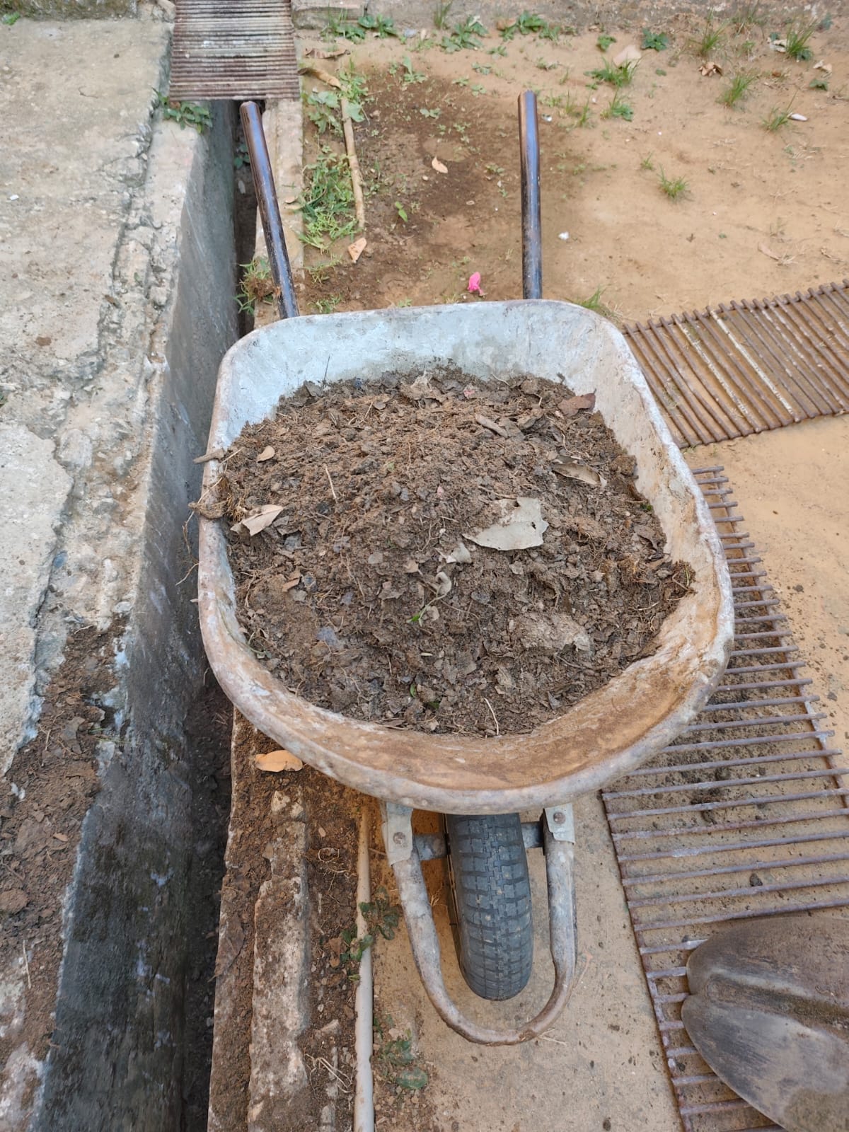 Imagem do WhatsApp de 2025-10-23 à(s) 15.11.56_95c7a494