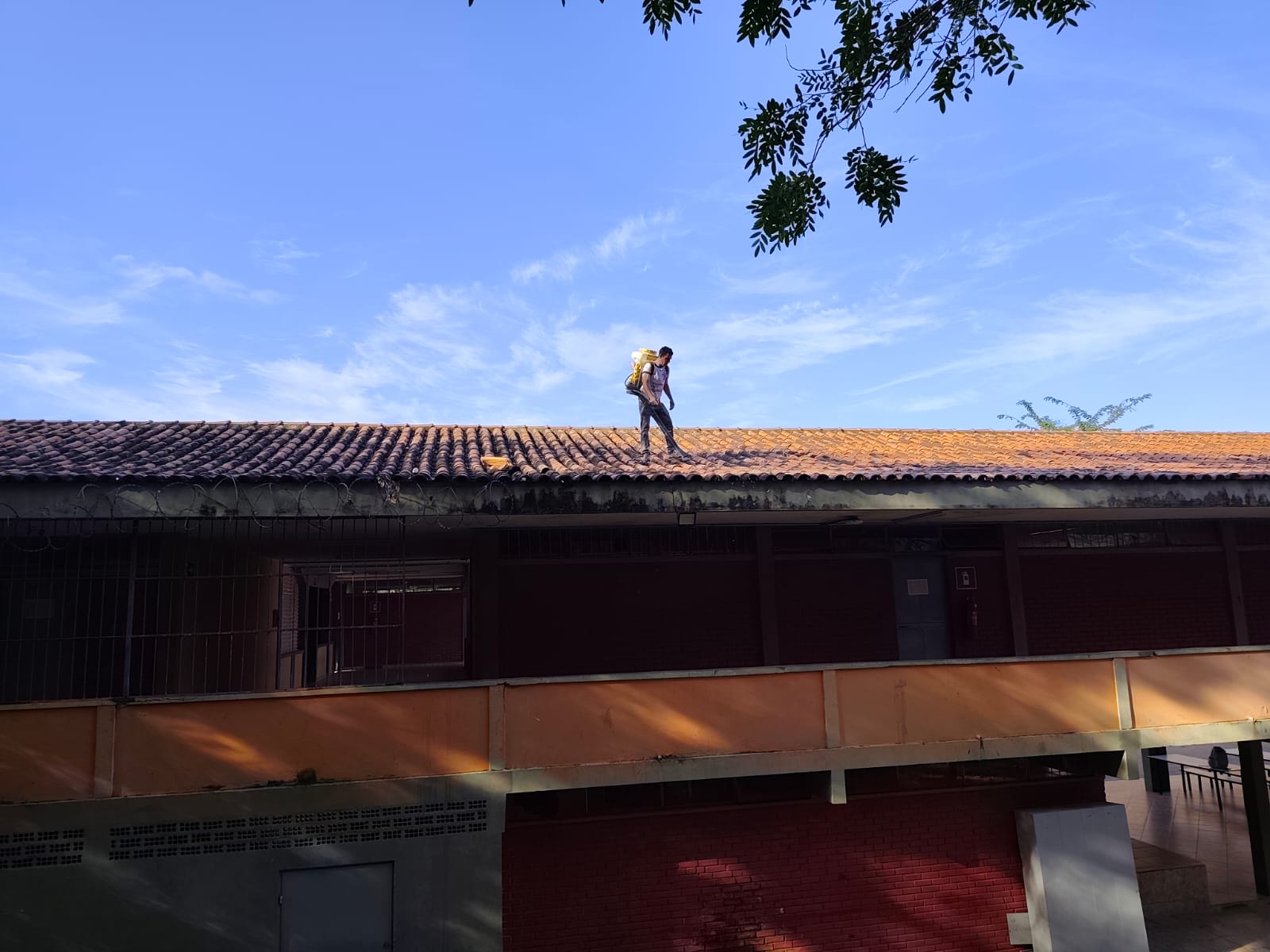 Imagem do WhatsApp de 2025-10-23 à(s) 15.11.57_28993e0b