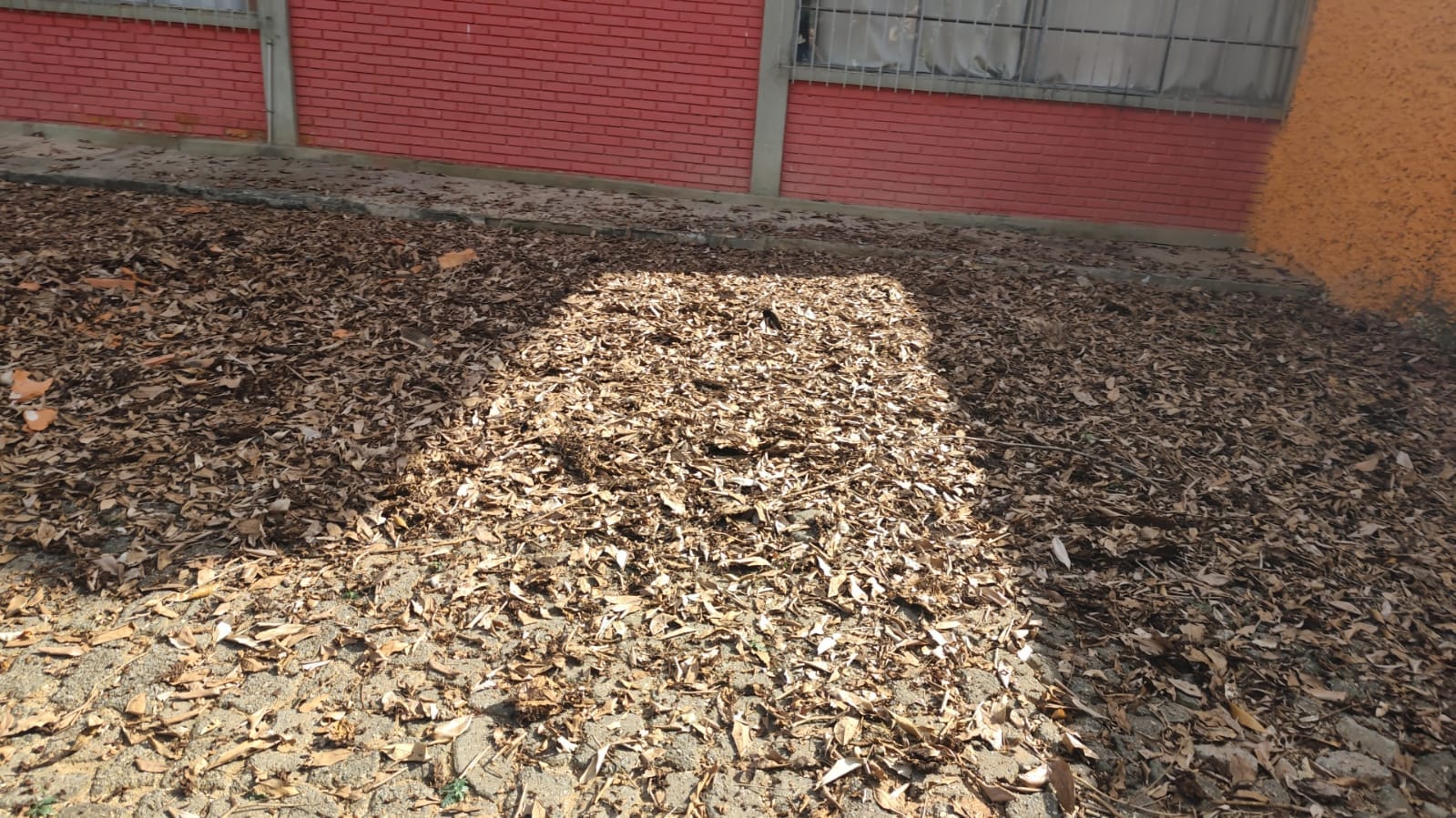 Imagem do WhatsApp de 2025-10-23 à(s) 15.11.57_b57d9067