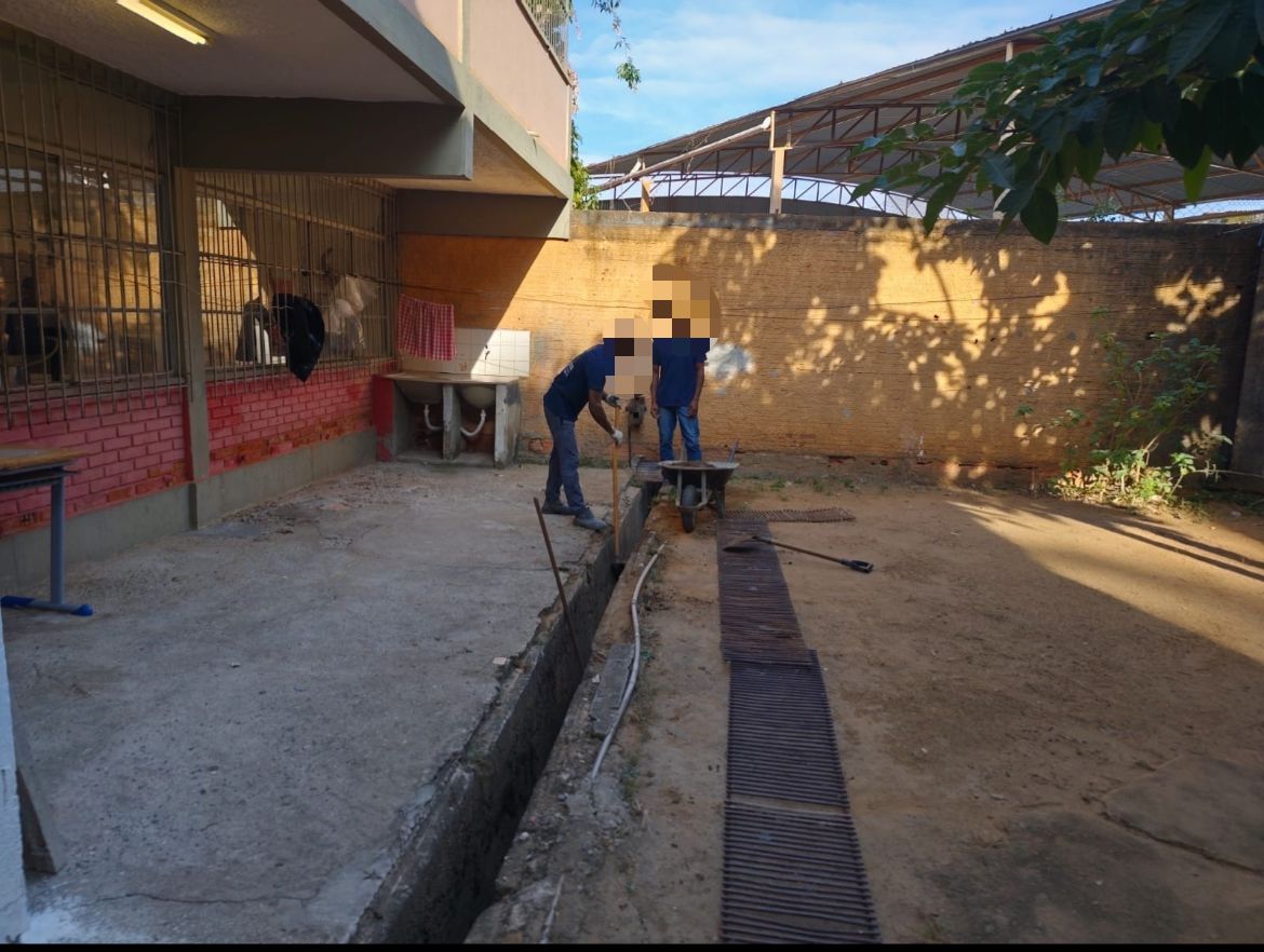 e99083fd-12a0-441e-93f4-faea3b61a71a